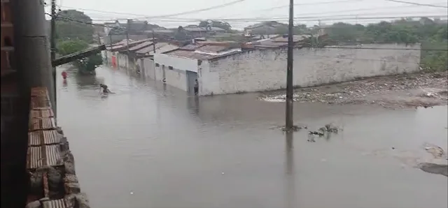 Rua Salvador