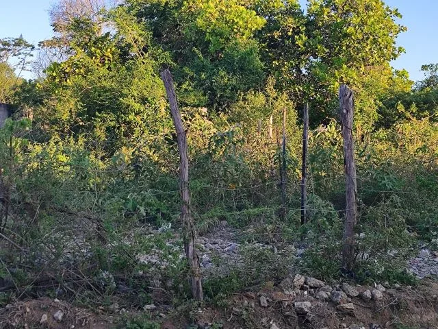 Local onde encontraram o corpo de Pâmela Beatriz de Jesus