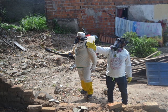 prevenção contra dengue1