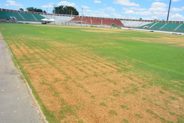 Joia da Princesa - estádio - gramado