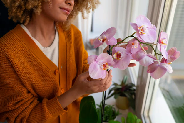 dicas para manter suas orquídeas florescendo por mais tempo - Foto Freepik