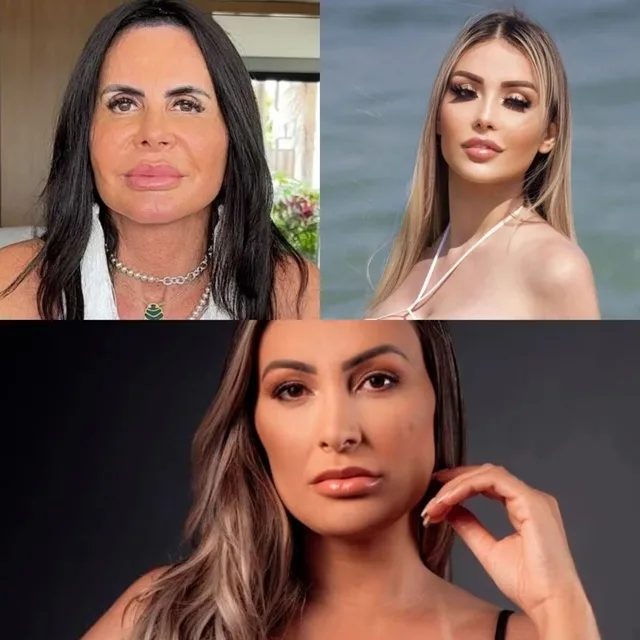 Gretchen e Andressa Urach - Lygia - Foto - montagem - reprodução