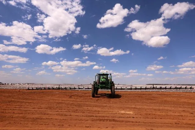 IBGE e Conab preveem crescimento para safra baiana de grãos em 2025