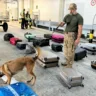 Polícia Civil deflagra operação no Aeroporto de Salvador