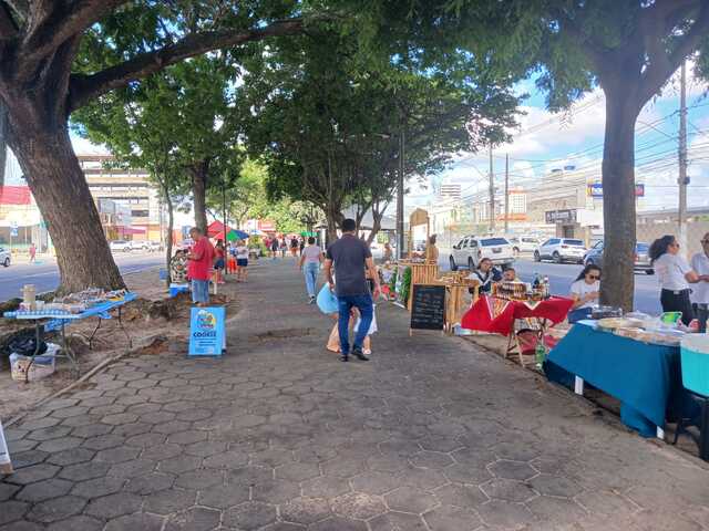 Comerciantes destacam seus projetos e ideias na primeira feira de 2025 do Arte na Avenida