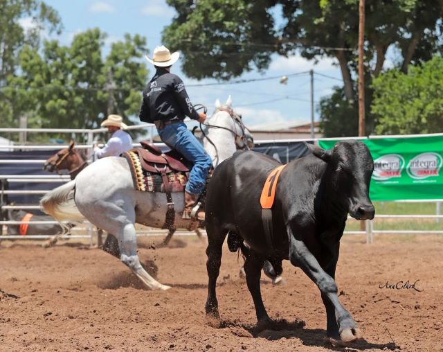 I Etapa do Campeonato Baiano de Ranch Sorting 2025 movimenta amantes do cavalo nos dias 21 e 22 de fevereiro