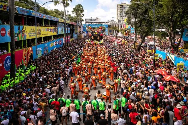 folia olodum