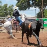 I Etapa do Campeonato Baiano de Ranch Sorting 2025 movimenta amantes do cavalo nos dias 21 e 22 de fevereiro