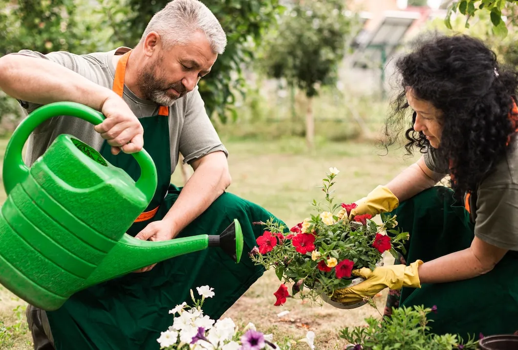 Qual a melhor hora para regar as plantas e garantir a umidade certa para elas