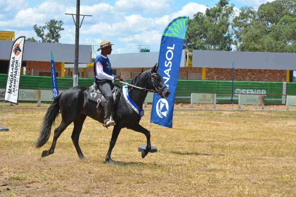 Copa de Marcha de Mangalarga Marchador