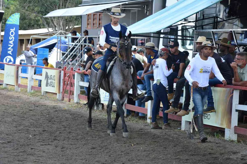 Copa de Marcha de Mangalarga Marchador