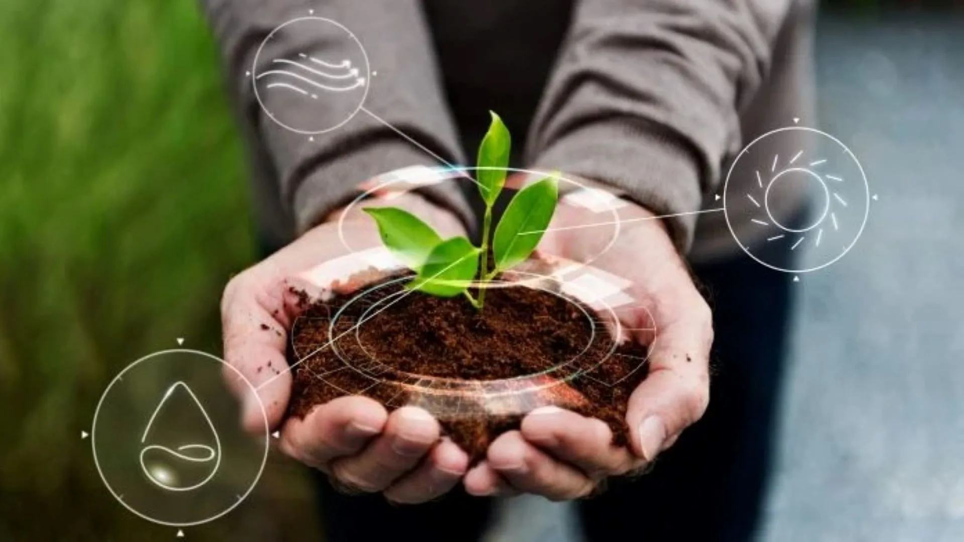 gestão ambiental