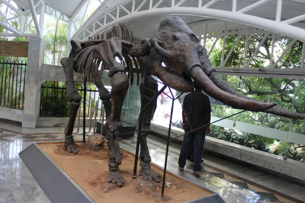 Museu Geológico da Bahia (MGB)