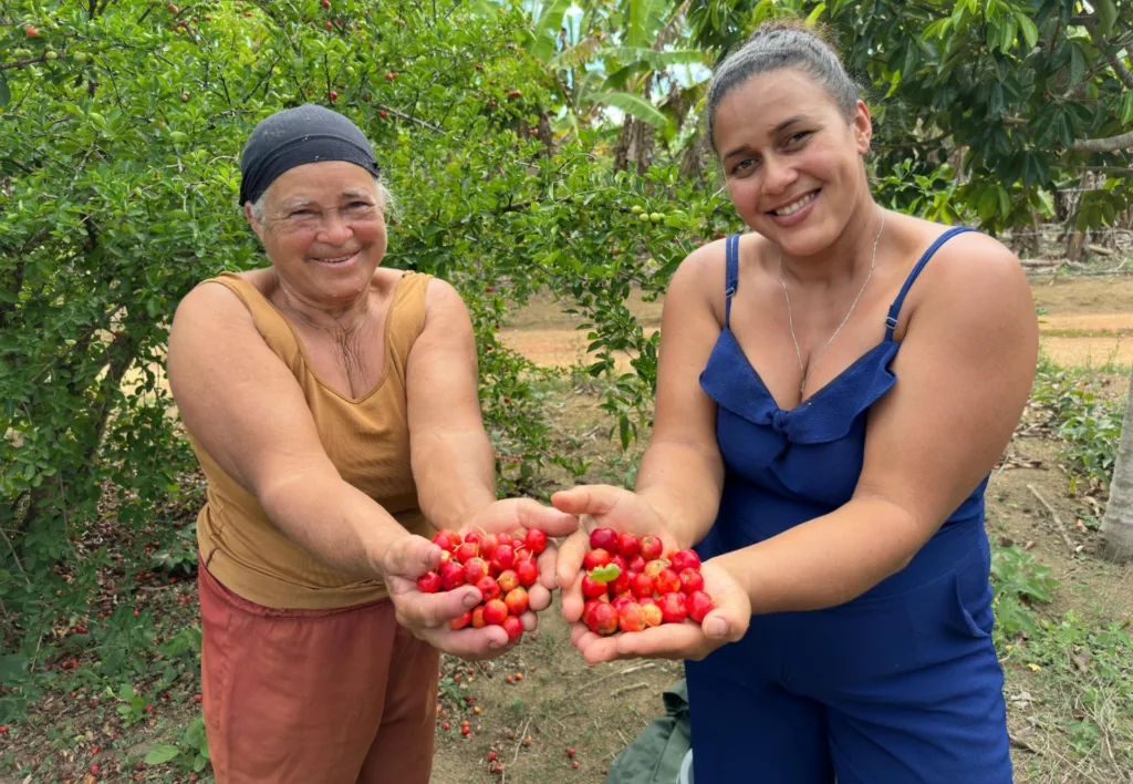 Mulheres rurais do Vale do Jiquiriçá ampliam produção de polpas de frutas com agroindústria familiar