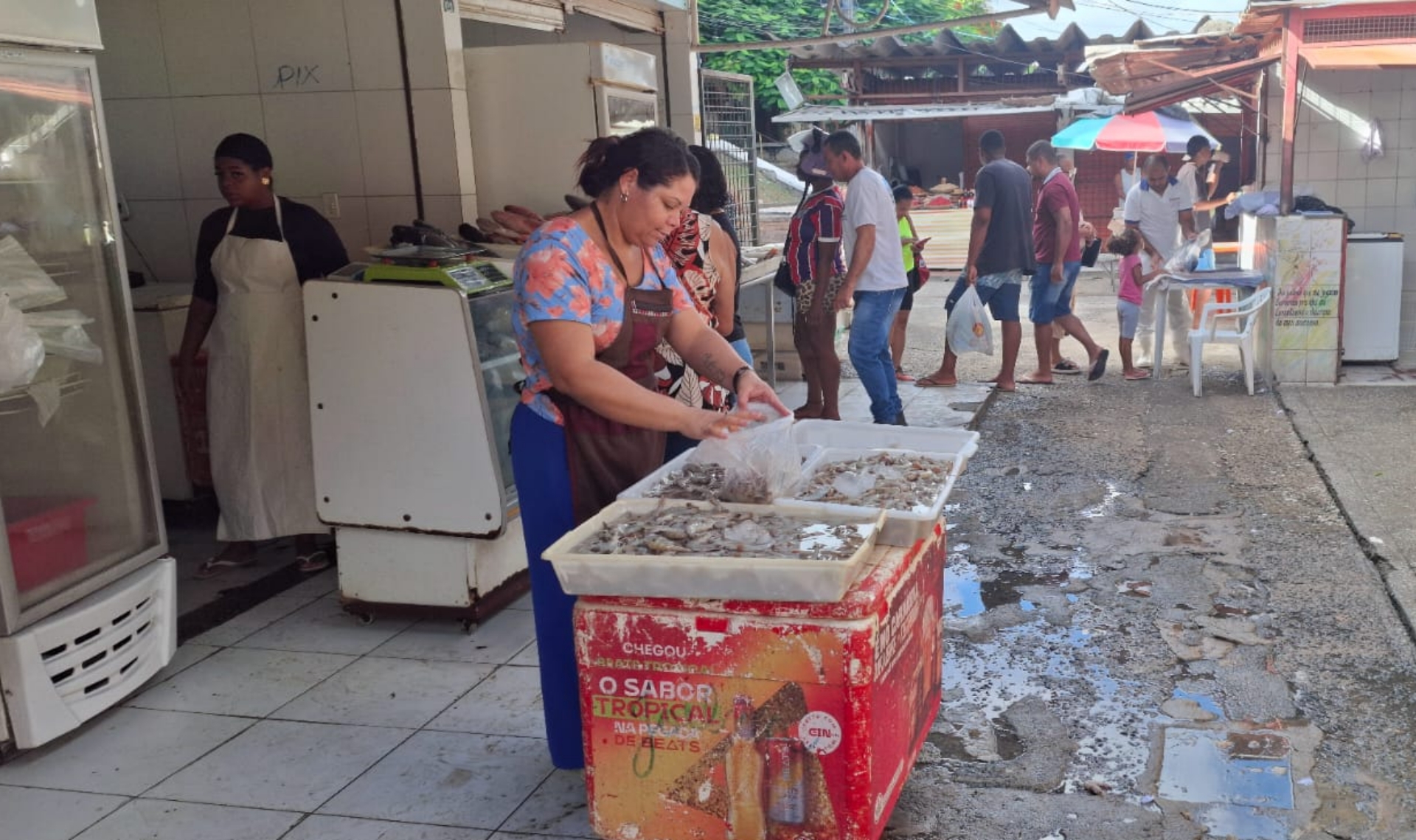 Peixes - centro de abastecimento