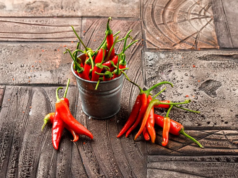 8 passos para plantar pimenta caiena em vasos no quintal