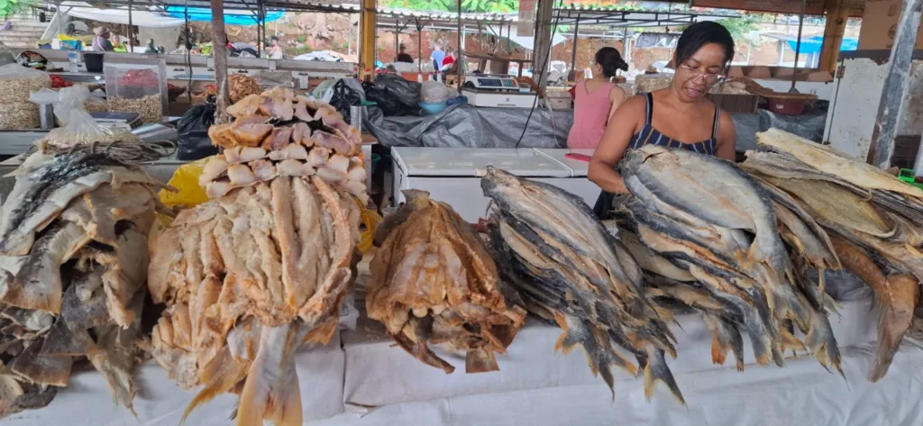 Peixes - centro de abastecimento