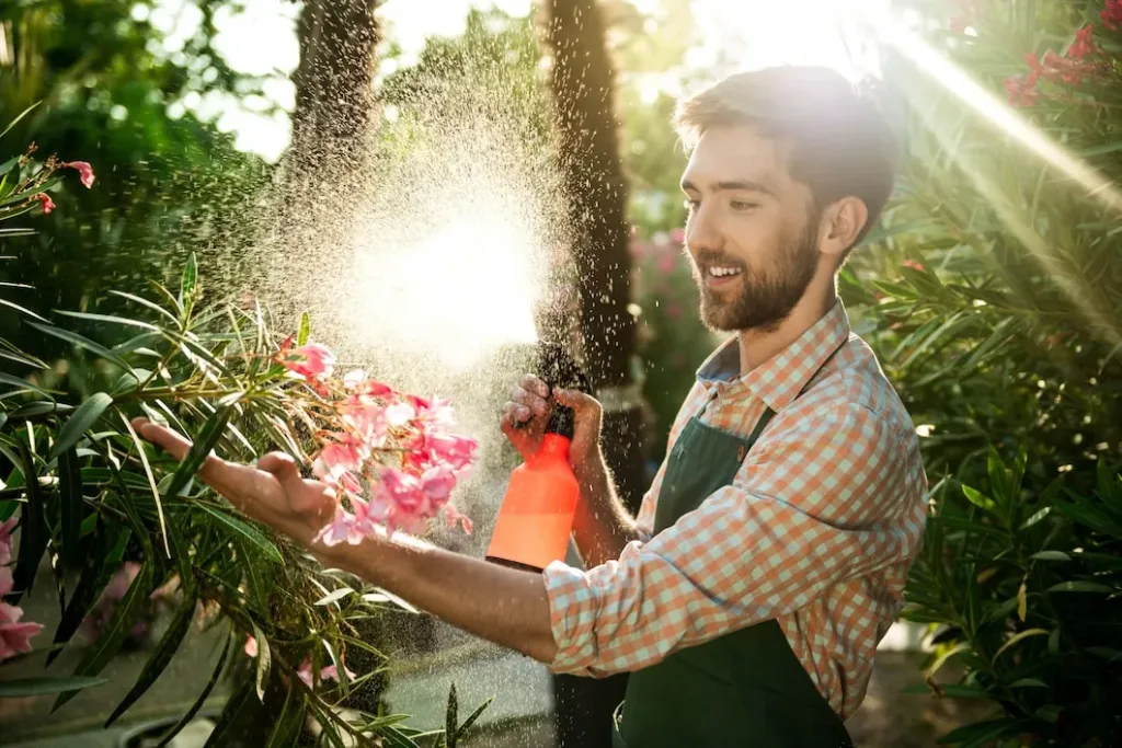 Qual a melhor hora para regar as plantas e garantir a umidade certa para elas