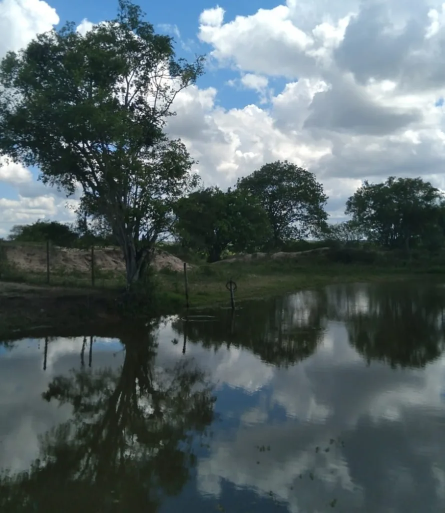 caminhada ecológica matinha