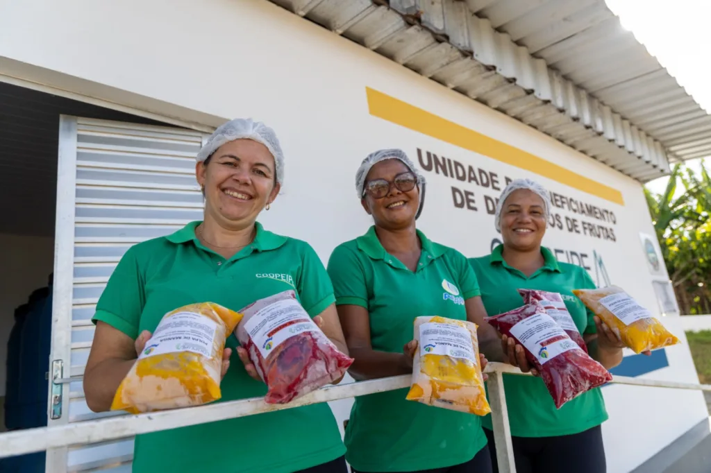 Mulheres rurais do Vale do Jiquiriçá ampliam produção de polpas de frutas com agroindústria familiar