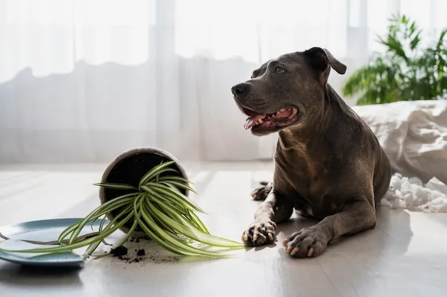 4 dicas para evitar que seu cachorro destrua a casa quando fica sozinho