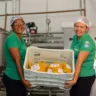 Mulheres rurais do Vale do Jiquiriçá ampliam produção de polpas de frutas com agroindústria familiar