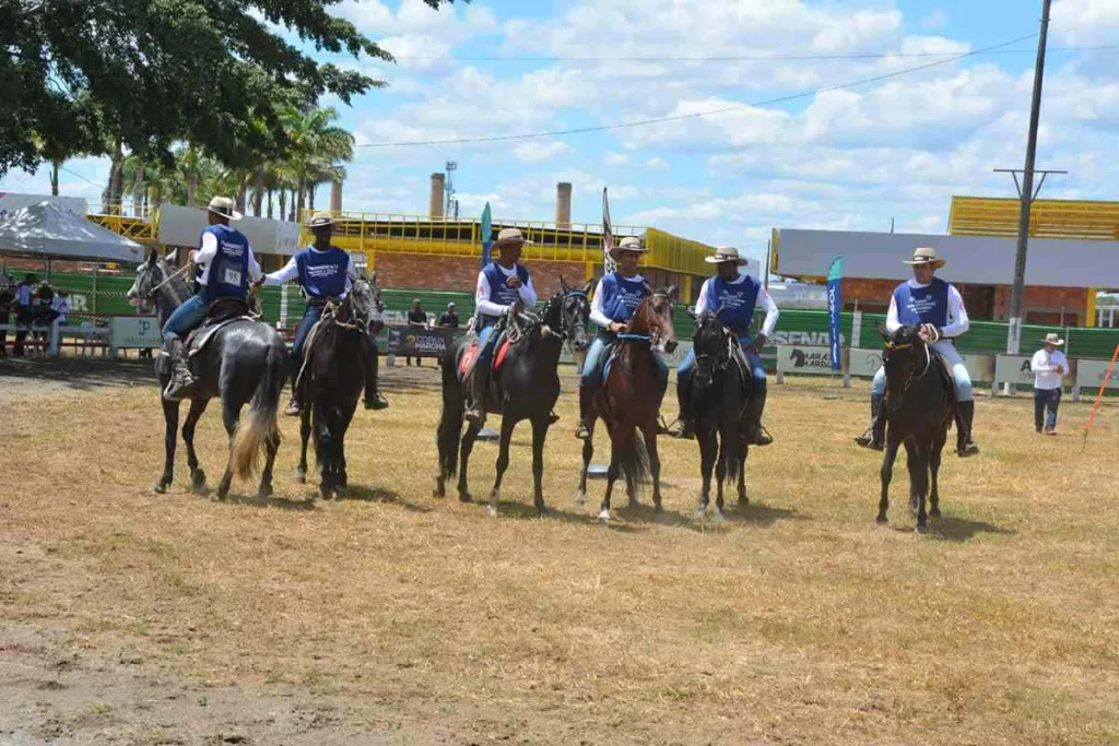 Copa de Marcha de Mangalarga Marchador