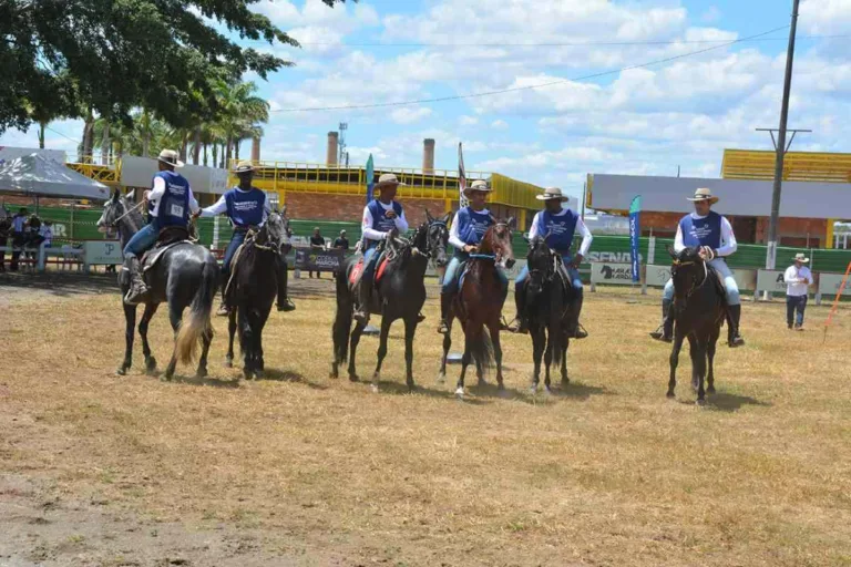 Copa de Marcha de Mangalarga Marchador