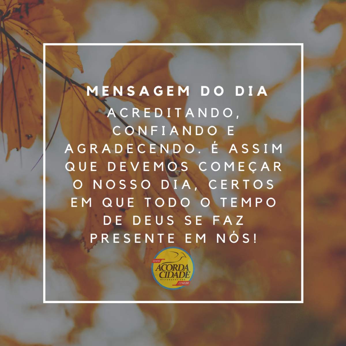 Mensagem do Dia