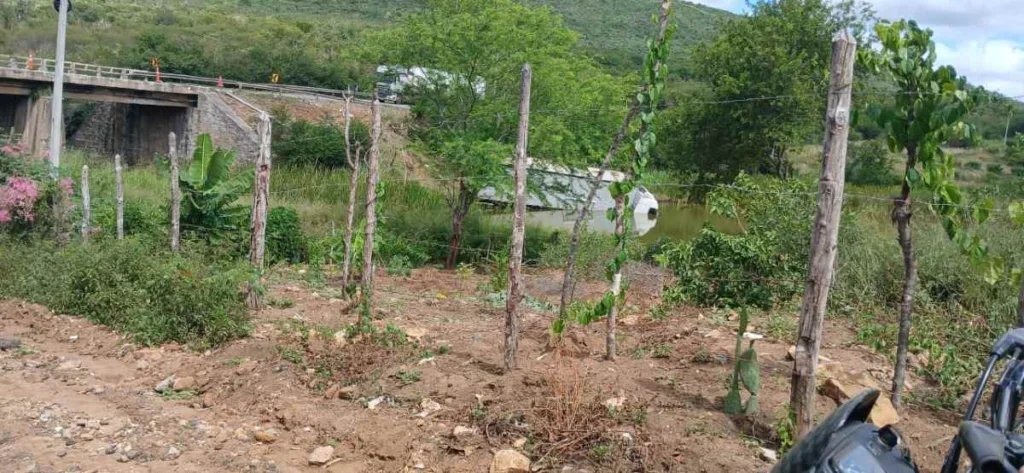 Acidente com Carreta