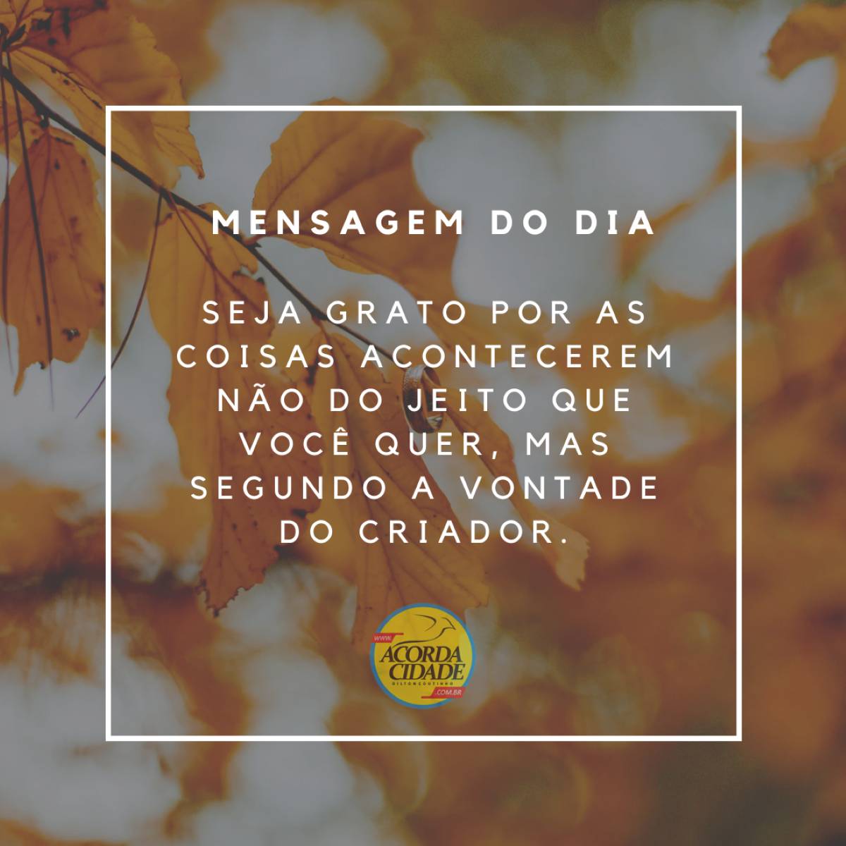 Mensagem do Dia