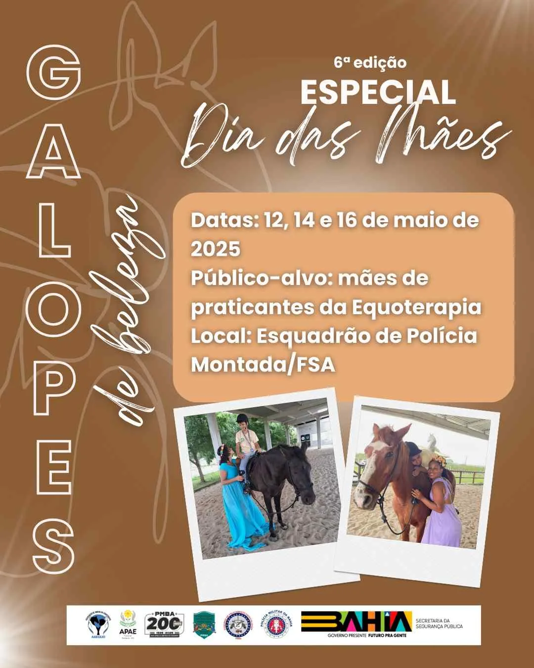 "Galopes de Beleza": Esquadrão de Polícia Montada realiza projeto de 12 a 16 de maio