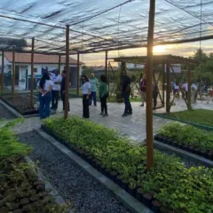 Embasa inaugura novo espaço de plantio e doação de mudas em Feira de Santana