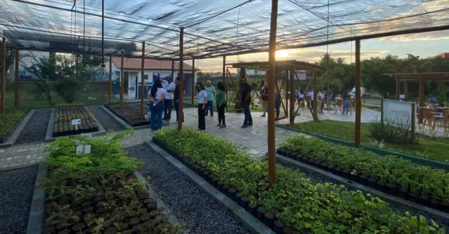 Embasa inaugura novo espaço de plantio e doação de mudas em Feira de Santana