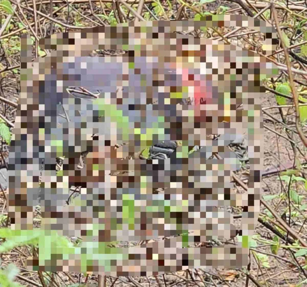 Jovem de 19 anos que estava desaparecido é encontrado morto no bairro Aviário1