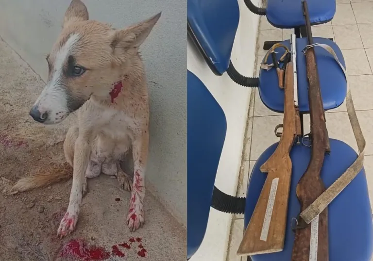 Homem é preso após atirar em cachorro no sudoeste da Bahia