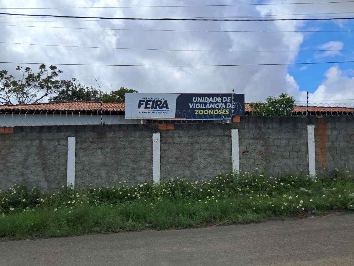 Coordenadora do centro de Zoonoses explica o que está sendo feito para controlar raiva animal transmitida por morcegos