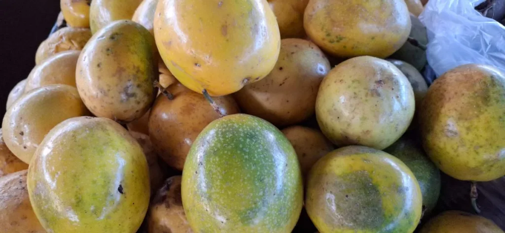 Preço do maracujá, tomate e hortaliças sofre reajuste na Feirinha da Estação Nova
