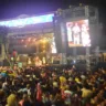 quixabeira da matinha