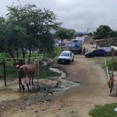 Avenida Ayrton Senna - bica