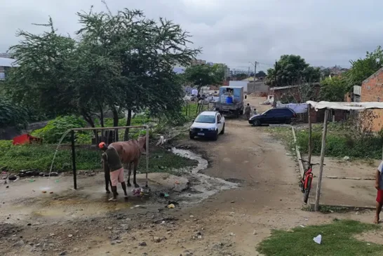 Avenida Ayrton Senna - bica