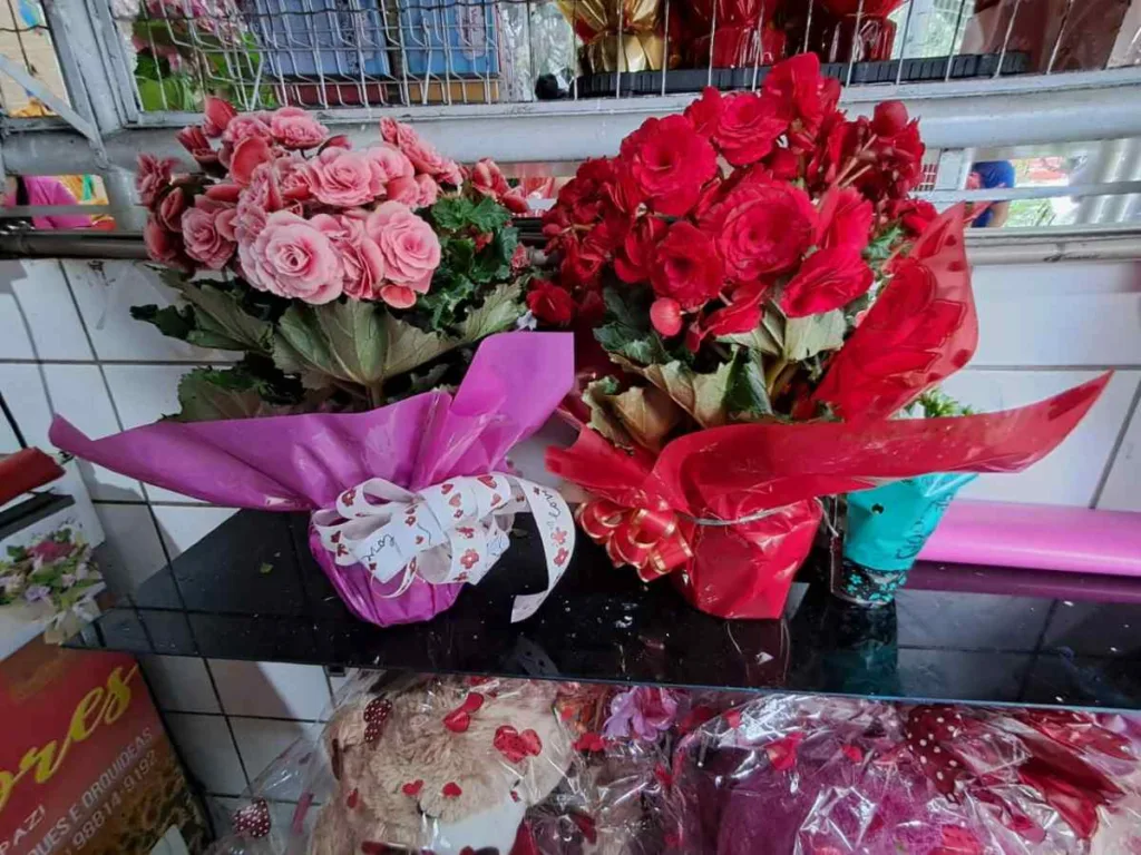 Dia das Mães