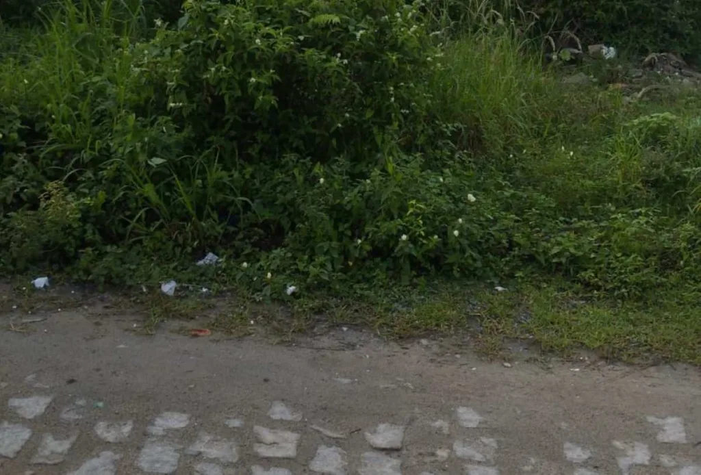 R. Cocal de Telhas - Conceição Foto leitor Acorda Cidade