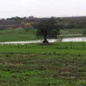 Chuva no distrito de Jaíba