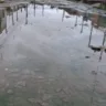 Moradores