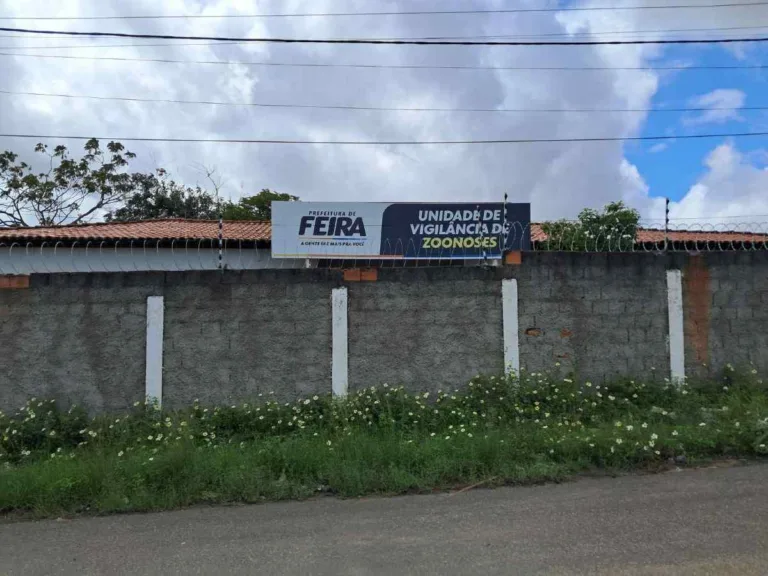Coordenadora do centro de Zoonoses explica o que está sendo feito para controlar raiva animal transmitida por morcegos