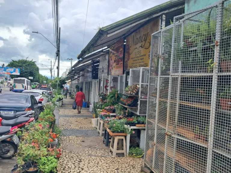 Rua Olímpio Vital