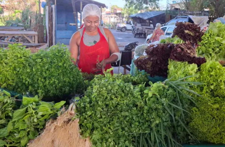 Preço do maracujá, tomate e hortaliças sofre reajuste na Feirinha da Estação Nova
