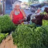 Preço do maracujá, tomate e hortaliças sofre reajuste na Feirinha da Estação Nova