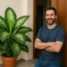 Comigo-ninguém-pode na entrada da casa bloqueia inveja antes de entrar